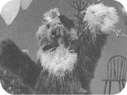 picture
